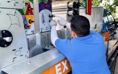 How to Protect Plants and Landscaping During Softwashing