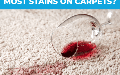 Top Foods That Stain Carpets: Worst Offenders & How to Remove Them