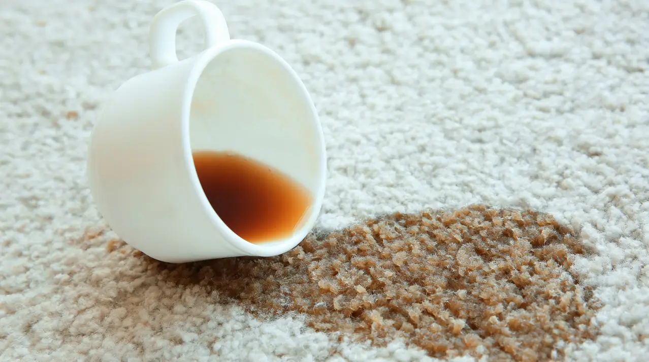 _6F4CE9E9-2E14-432D-878E-1285A72024ED_ Carpet2