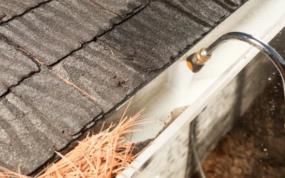 Gutter Cleaning: Best Tools, Techniques & Pro Tips for a Clog-Free Home