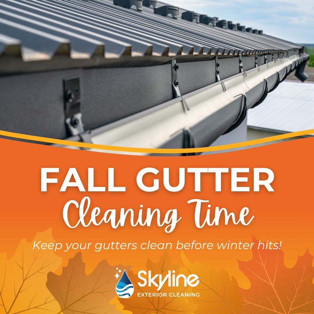 Gutter Ad – Skyline Services